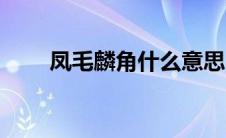 凤毛麟角什么意思（该词出自哪里）