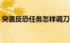 突袭反恐任务怎样调刀(突袭反恐任务加强版)