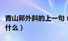 青山郭外斜的上一句（青山郭外斜的上一句是什么）