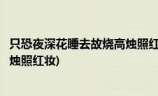 只恐夜深花睡去故烧高烛照红妆意思(只恐夜深花睡去故烧高烛照红妆)