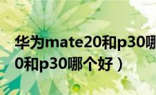 华为mate20和p30哪个好一些（华为mate20和p30哪个好）