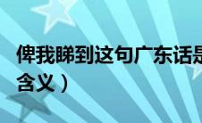 俾我睇到这句广东话是什么意思（俾我睇到的含义）