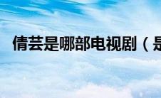 倩芸是哪部电视剧（是真情母子的电视剧）