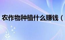 农作物种植什么赚钱（种植什么农作物赚钱）