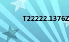 T22222.1376Z（t2222刷机）