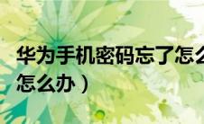 华为手机密码忘了怎么办（华为手机密码忘了怎么办）