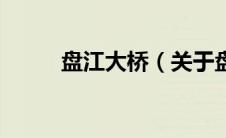 盘江大桥（关于盘江大桥的介绍）