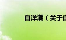 白洋潮（关于白洋潮的介绍）