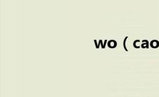 wo（cao ni ma）