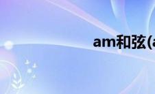 am和弦(am和弦)