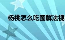 杨桃怎么吃图解法视频(杨桃怎么吃图解)