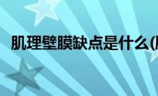 肌理壁膜缺点是什么(肌理壁膜有什么缺点)