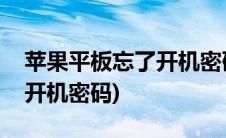 苹果平板忘了开机密码怎么办(苹果平板忘了开机密码)