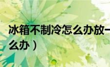 冰箱不制冷怎么办放一盆热水（冰箱不制冷怎么办）