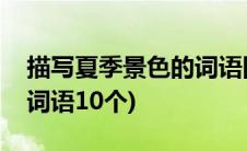 描写夏季景色的词语四个字(描写夏季景色的词语10个)