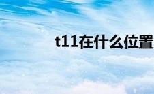 t11在什么位置（t11在哪换）