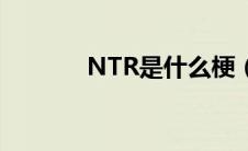 NTR是什么梗（NTR的意思）