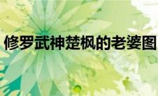 修罗武神楚枫的老婆图(修罗武神楚枫的老婆)