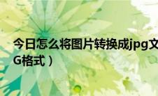 今日怎么将图片转换成jpg文件格式（怎么将图片转换成JPG格式）