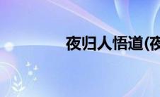 夜归人悟道(夜归人的意思)