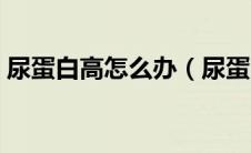 尿蛋白高怎么办（尿蛋白高患者应注意什么）