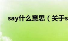 say什么意思（关于say什么意思的介绍）