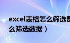 excel表格怎么筛选数据最多（excel表格怎么筛选数据）