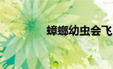 蟑螂幼虫会飞吗(蟑螂幼虫)