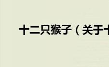 十二只猴子（关于十二只猴子的介绍）