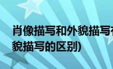 肖像描写和外貌描写有啥区别(肖像描写和外貌描写的区别)