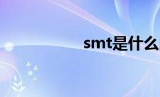 smt是什么岗位(smt)