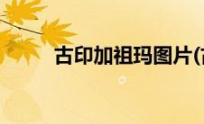 古印加祖玛图片(古印加祖玛官网)