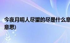 今夜月明人尽望的尽是什么意思(今夜月明人尽望的尽是什么意思)
