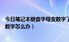 今日笔记本键盘字母变数字了怎么回事（笔记本键盘字母变数字怎么办）