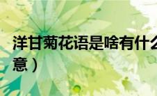 洋甘菊花语是啥有什么寓意（洋甘菊花语的寓意）