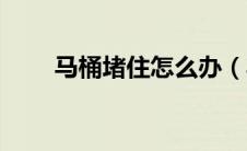 马桶堵住怎么办（马桶堵了怎么通）