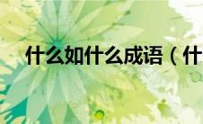 什么如什么成语（什么如什么成语解释）