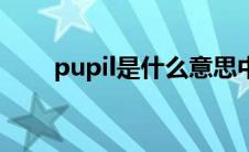 pupil是什么意思中文（pupil解释）