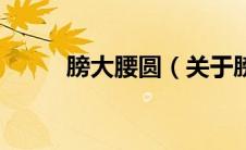 膀大腰圆（关于膀大腰圆的介绍）