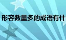 形容数量多的成语有什么(形容数量多的成语)