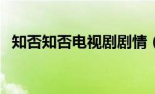 知否知否电视剧剧情（讲述的是什么故事）