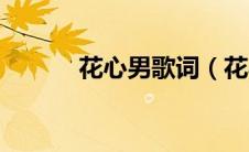 花心男歌词（花心男歌曲简介）