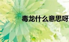 毒龙什么意思呀(毒龙什么服务)