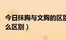 今日抹胸与文胸的区别（文胸抹胸和胸罩有什么区别）