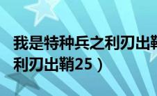 我是特种兵之利刃出鞘2部13（我是特种兵之利刃出鞘25）