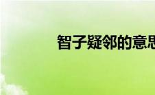 智子疑邻的意思（智子疑邻）