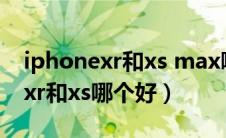 iphonexr和xs max哪个值得入手（iphonexr和xs哪个好）