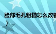 脸部毛孔粗糙怎么改善（脸部毛孔粗糙怎么办）