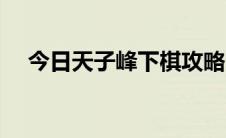 今日天子峰下棋攻略（天子峰下棋攻略）