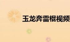 玉龙奔雷棍视频（玉龙奔雷棍）